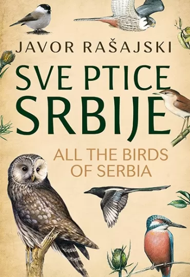 sve ptice srbije all the birds of serbia javor rašajski