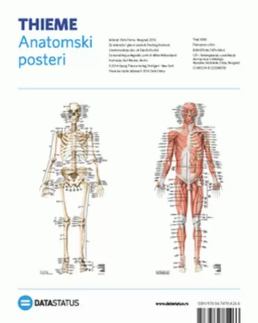anatomski posteri kosti i mišići karl wesker
