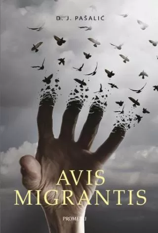 avis migrantis d j pašalić