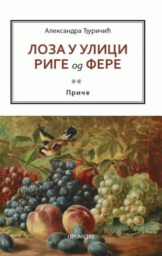 loza u ulici rige od fere aleksandra đuričić