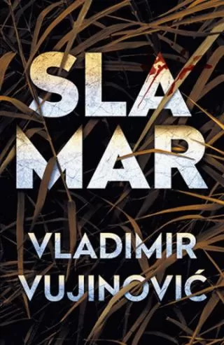 slamar vladimir vujinović