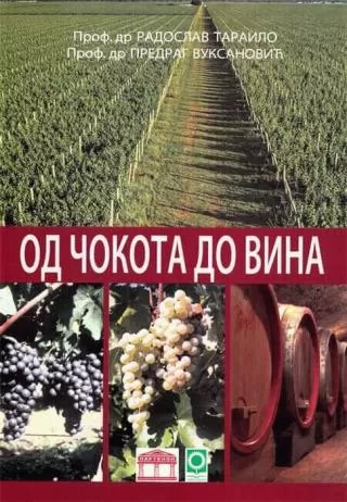 od čokota do vina predrag vuksanović radoslav tarailo