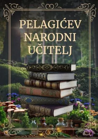 pelagićev narodni učitelj vasa pelagić