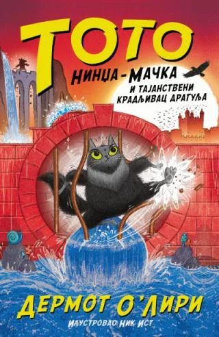 toto nindža mačka i tajanstveni kradljivac dragulja dermot o liri